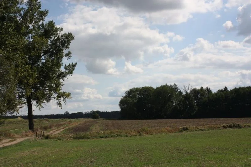 0 .